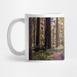 A walk in the redwoods Mug